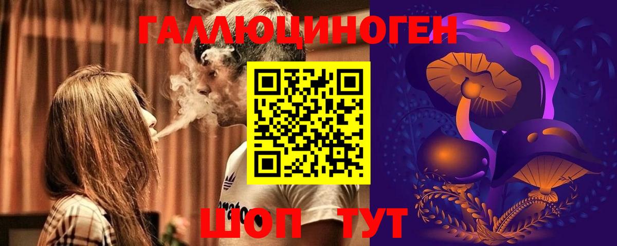 Ярославль  Псилоцибиновые грибы MAGIC MUSHROOMS  Вход с VPN 